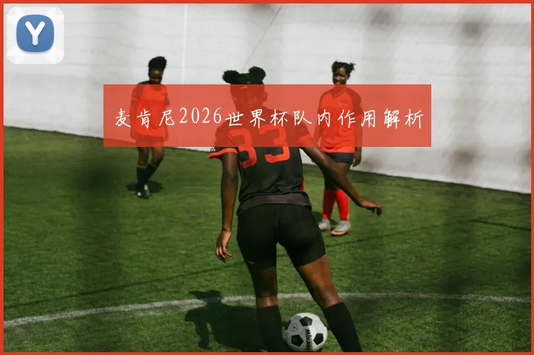 麦肯尼2026世界杯队内作用解析