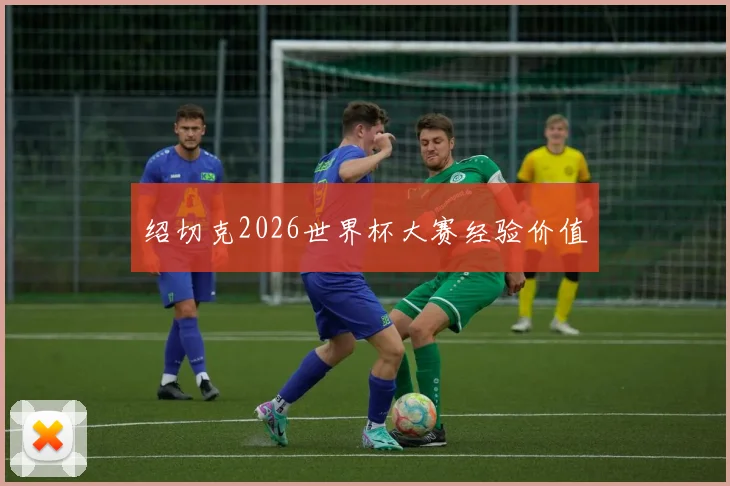 绍切克2026世界杯大赛经验价值