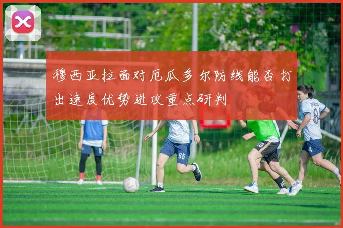 穆西亚拉面对厄瓜多尔防线能否打出速度优势进攻重点研判