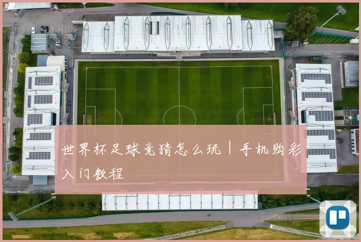 世界杯足球竞猜怎么玩｜手机购彩入门教程