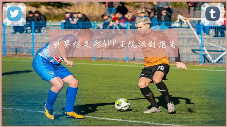 世界杯足彩APP正规识别指南