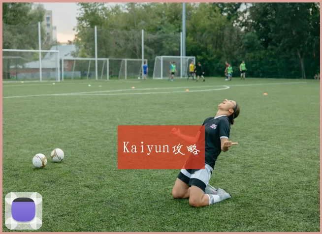 Kaiyun攻略