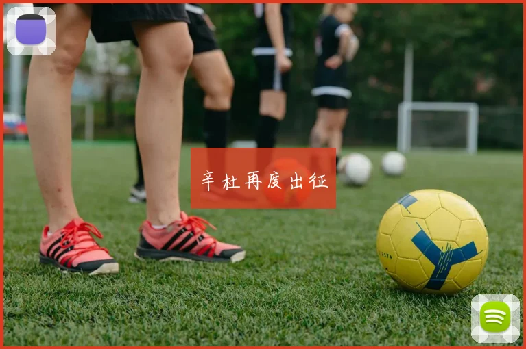 辛杜再度出征