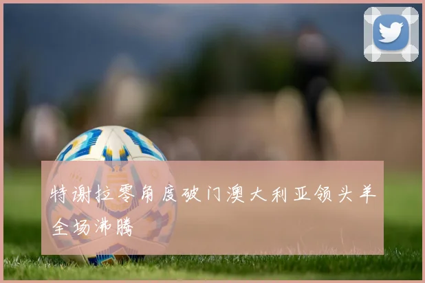 特谢拉零角度破门澳大利亚领头羊全场沸腾