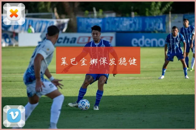 莱巴金娜保发稳健