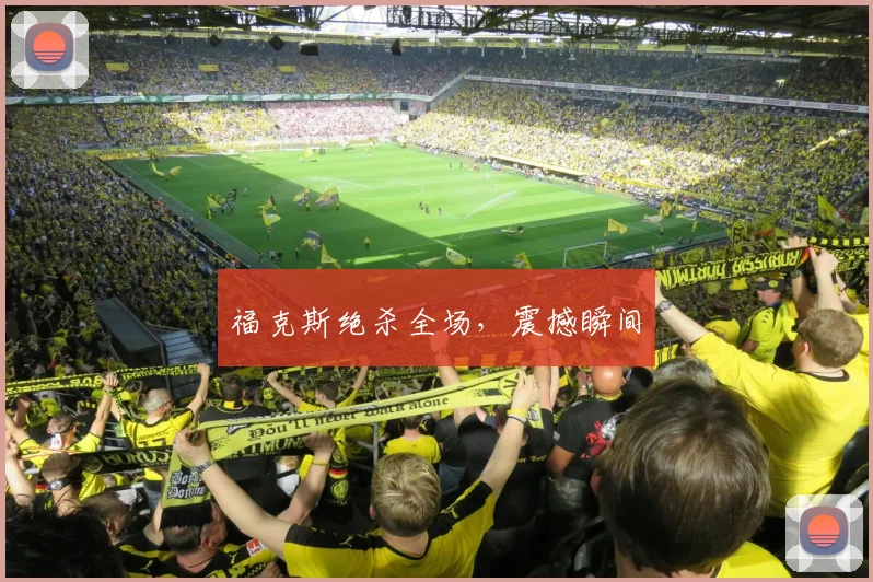 福克斯绝杀全场，震撼瞬间
