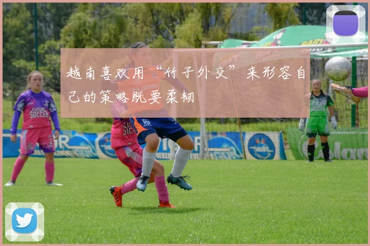 越南喜欢用“竹子外交”来形容自己的策略既要柔韧