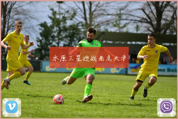 水原三星迎战老虎大学
