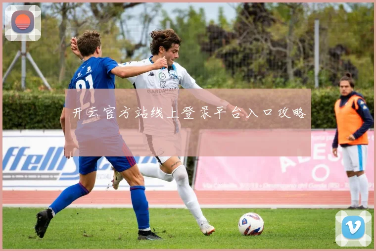 开云官方站线上登录平台入口攻略