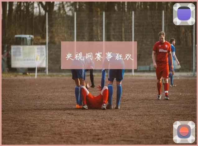 央视网赛事狂欢