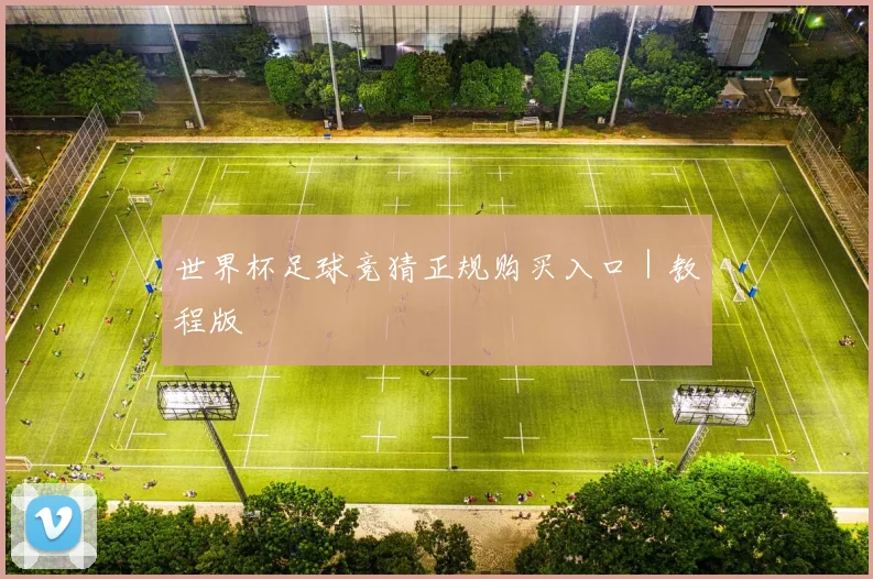 世界杯足球竞猜正规购买入口｜教程版
