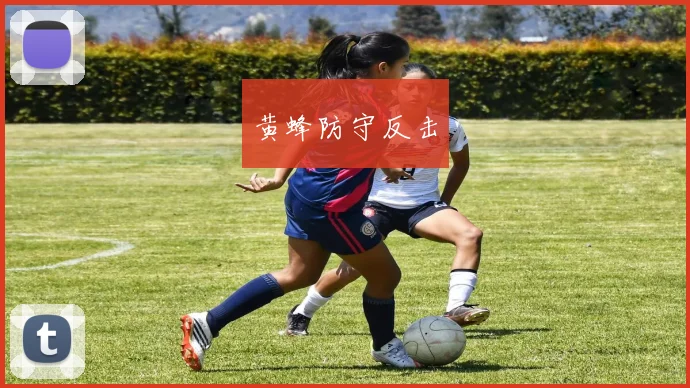黄蜂防守反击