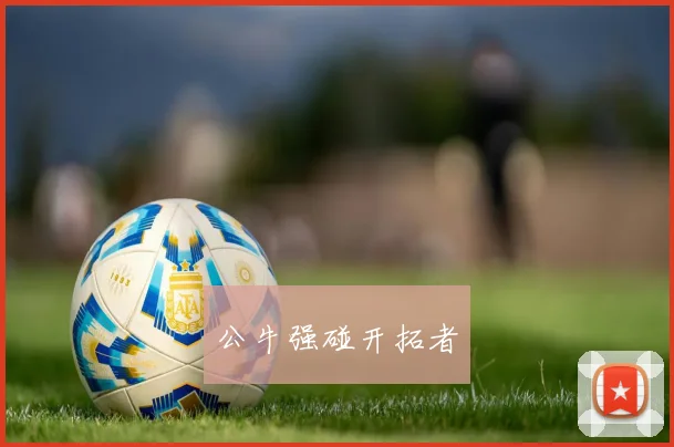 公牛强碰开拓者