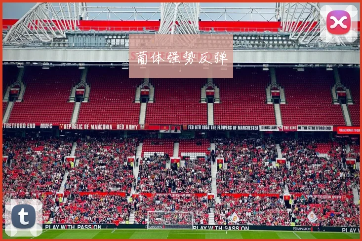葡体强势反弹