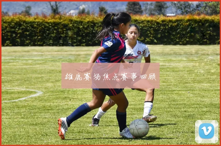 雄鹿赛场焦点赛事回顾