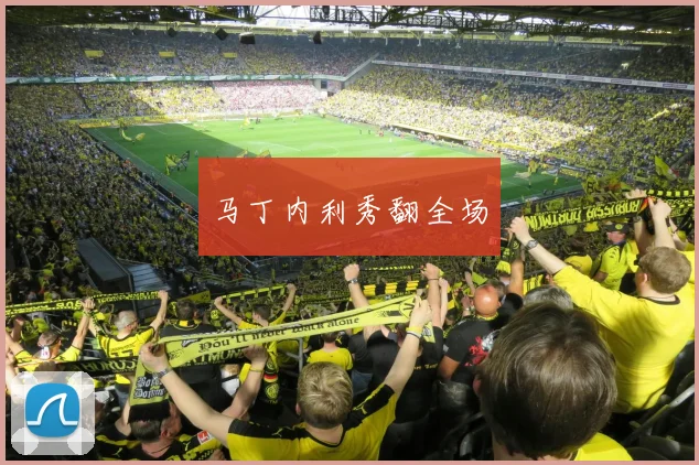 马丁内利秀翻全场