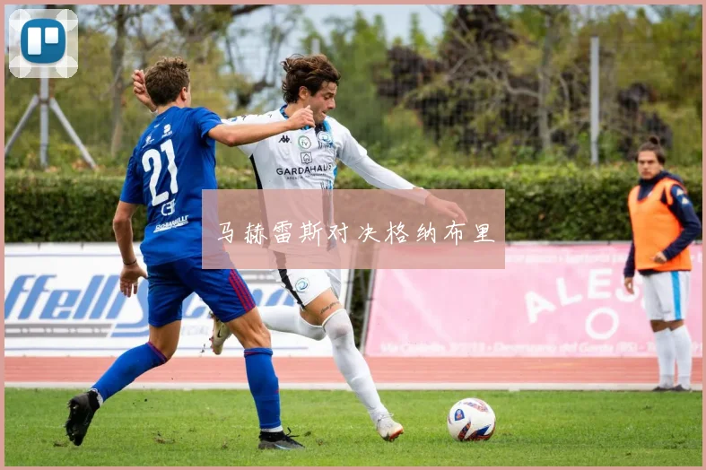 马赫雷斯对决格纳布里