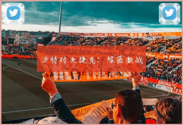 沙特对决捷克：绿茵激战