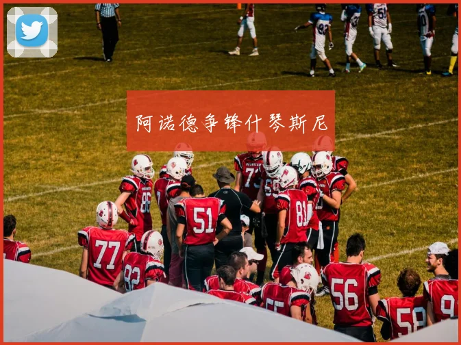 阿诺德争锋什琴斯尼
