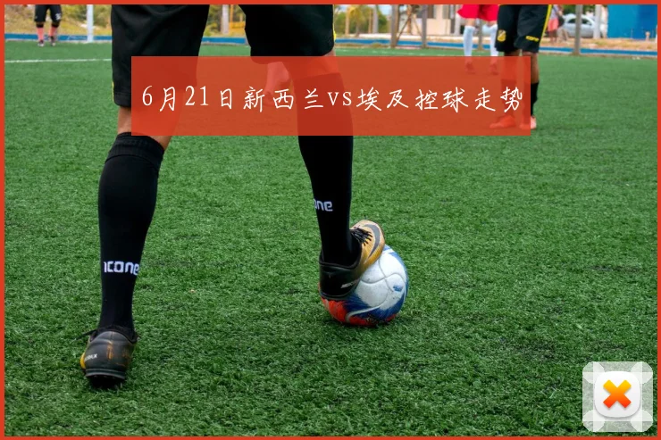 6月21日新西兰vs埃及控球走势