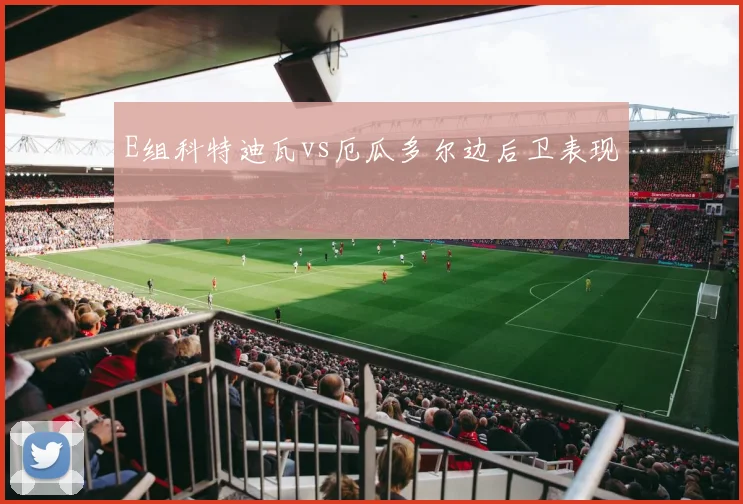 E组科特迪瓦vs厄瓜多尔边后卫表现