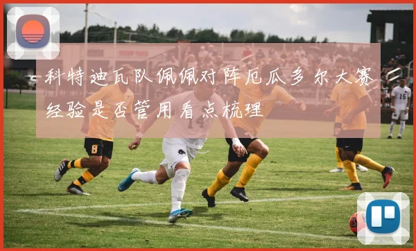 科特迪瓦队佩佩对阵厄瓜多尔大赛经验是否管用看点梳理