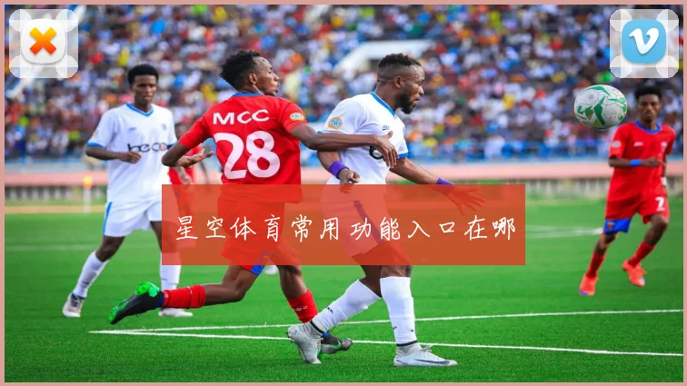 星空体育常用功能入口在哪
