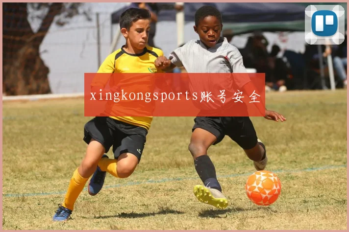 xingkongsports账号安全